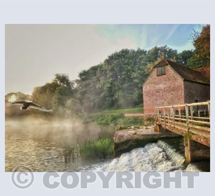 One More Beat, Sturminster Newton.