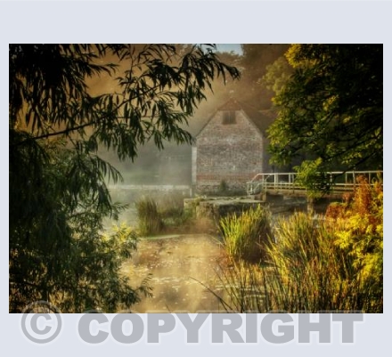 Dawn on The Millpond, Sturminster Newton, Dorset.