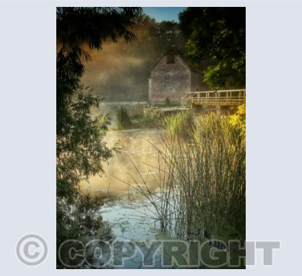 Through The Reeds, Sturminster Newton Mill, Dorset.