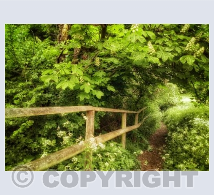 Through The Arch, Sturminster Newton, Dorset.
