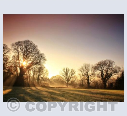 Manor Fields, Child Okeford, Dorset