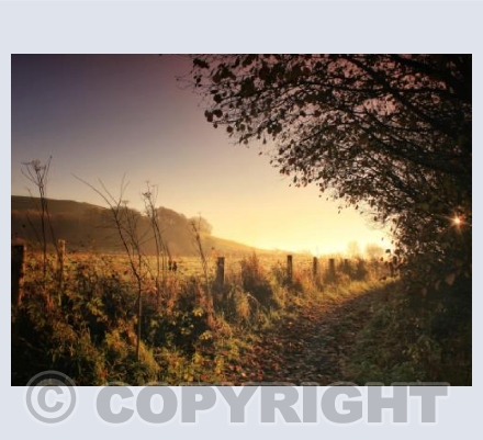 Dawn Along The Lane, Child Okeford, Dorset