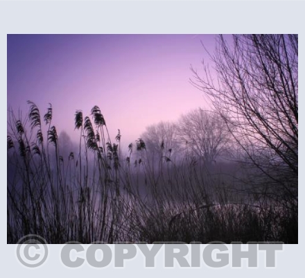 Dawn Magic, Todber, Dorset.