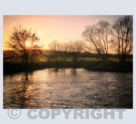 The Last Rays. Cutt Mill, Hinton St. Mary, Dorset.