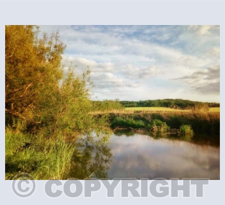 Evening Glow, Sturminster Newton, Dorset.