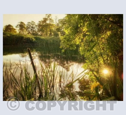 ' Down By The River '. Sturminster Newton, Dorset.