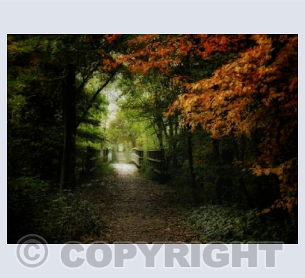 ' Across The Bridge '. Okeford Fitzpaine, Dorset.