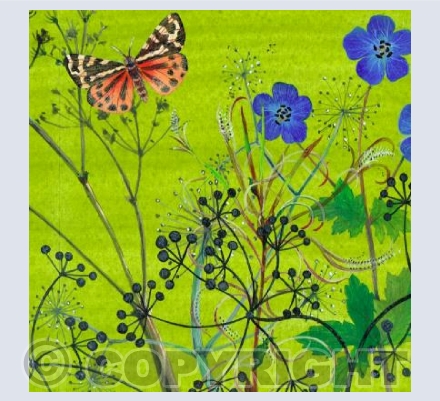 Meadow Butterfly
