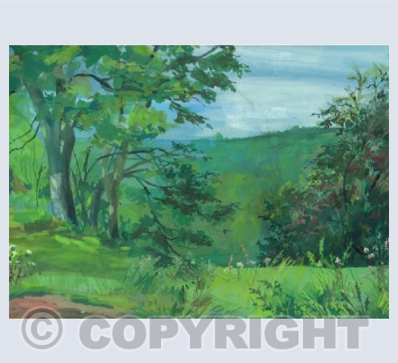 Overlooking Deep Hayes