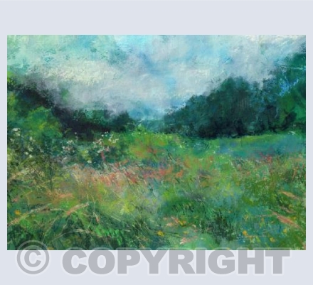 Meadow's Edge