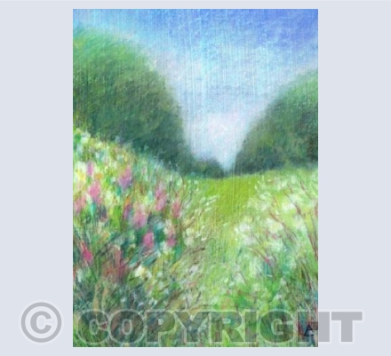 Through The Meadowsweet