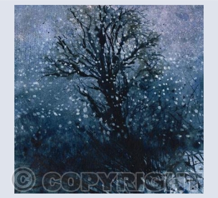 Snowy Night