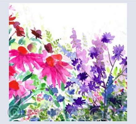 Summer Garden