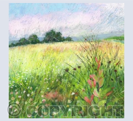 Rod Wood Nature Reserve