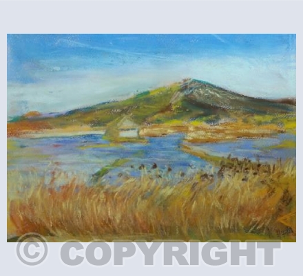 Island Hide across Seaton Wetlands