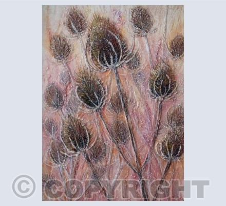 Teasels in Mixed Media