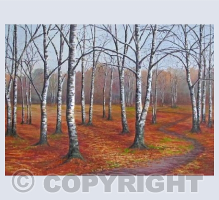 Walk through the Trees