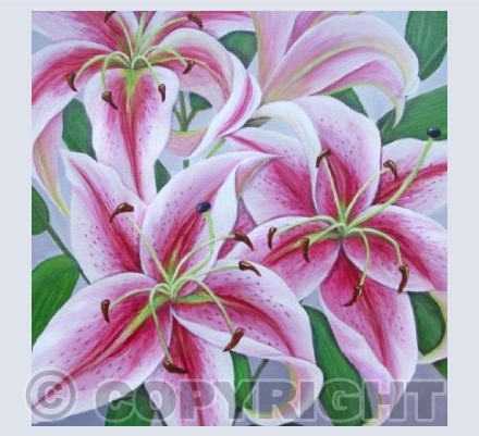 Lilies