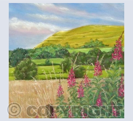 Hambeldon Hill