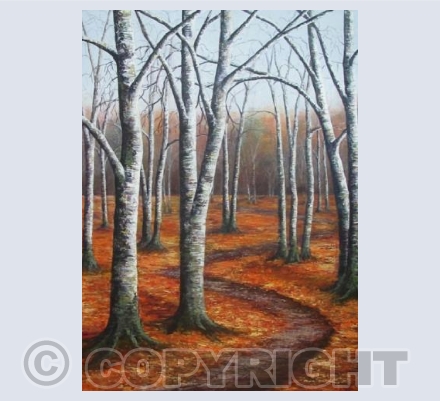 Birch Trees