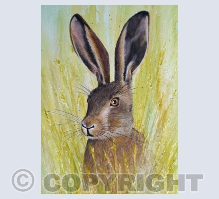 Hare