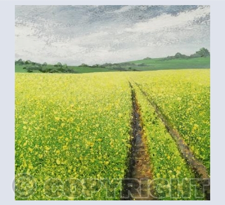 Rape Field