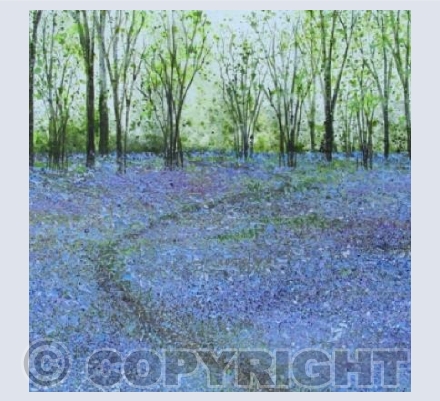 Bluebell Wood