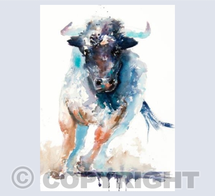 "Feeling Bullish"