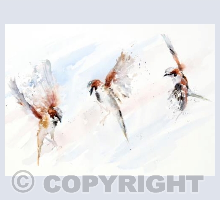 "Light As A Feather"