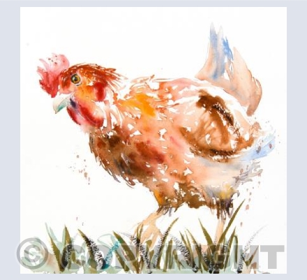 "Pecking Order"