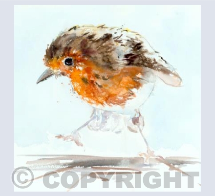 "Dancing Robin"