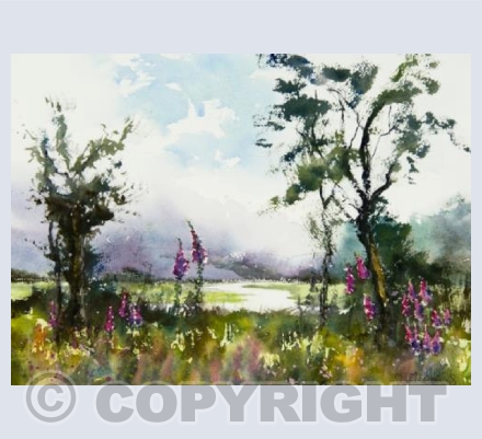 "View From The Hill"