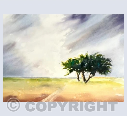 "Sunshine on a Rainy Day"