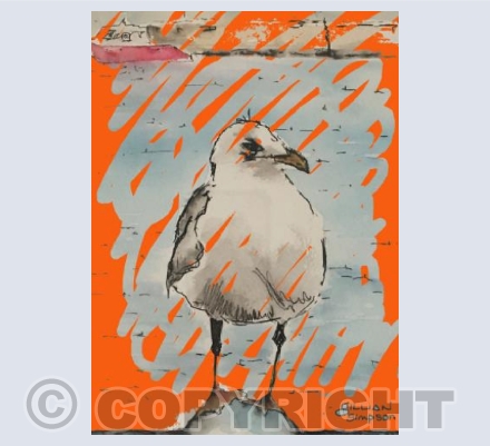 Graffiti Gull
