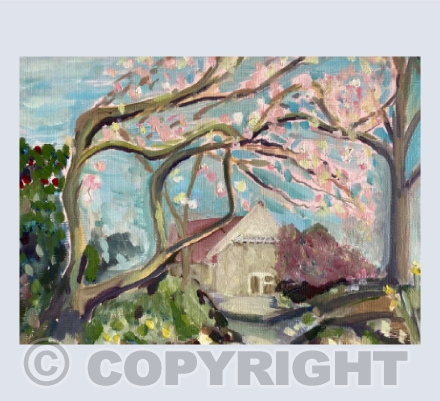 Magnolia Tree