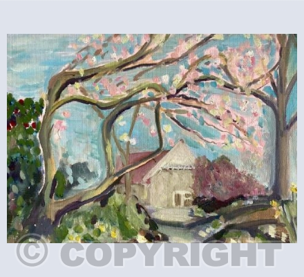 Magnolia tree