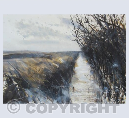 Winter willow