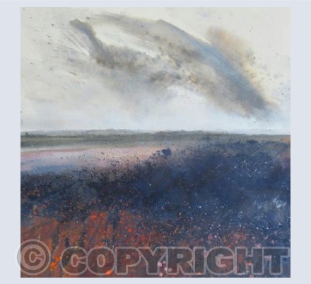 Beware, ponies grazing