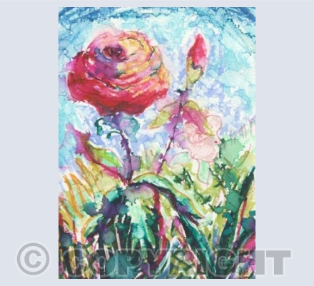Garden Rose