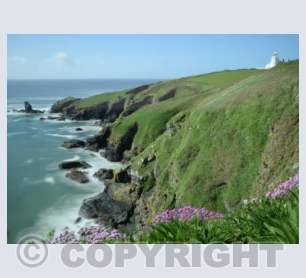 The Lizard Peninsuls