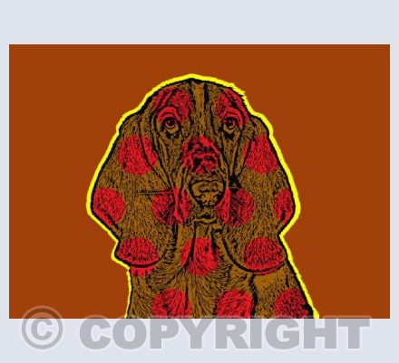 Albert. Devon Dogs