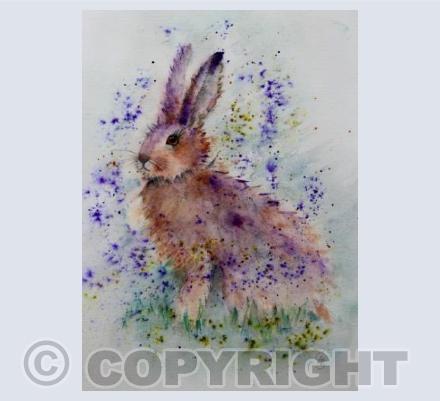 Harriet Hare
