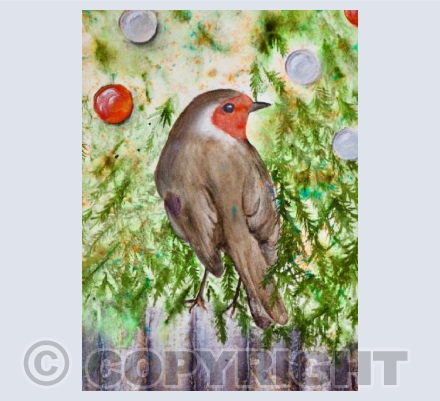 Dorset Robin