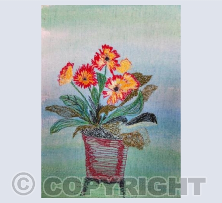 Gerberas