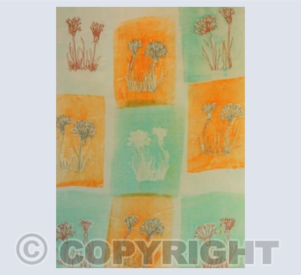 Cornflowers