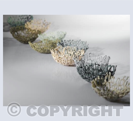 Coracles 3