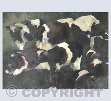 Cows at night