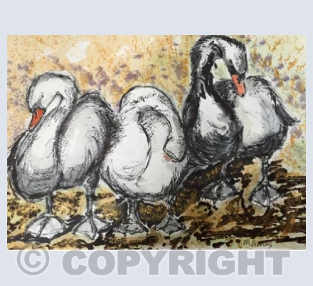 Three swans