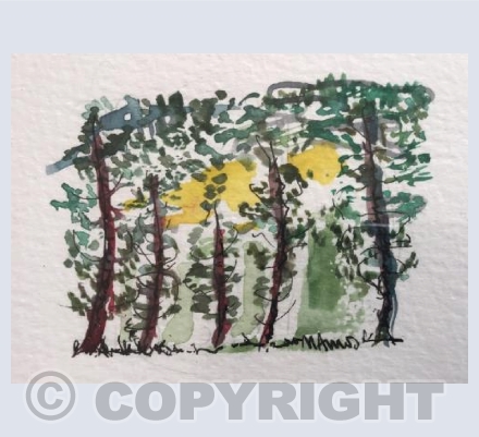 Five trees