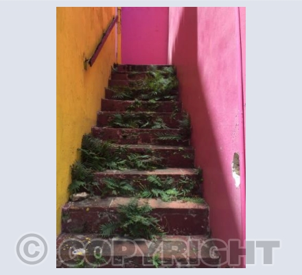Steps in Speightstown, Barbados 